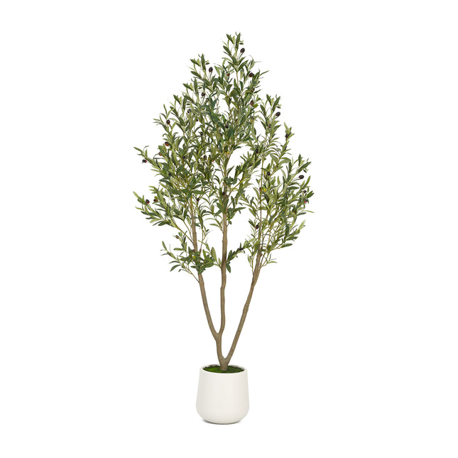 6FT Artificial Olive Tree in White Planter Faux Indoor Plant with Realistic Wood Trunk & Lifelike Fruits for Home & Office Decor