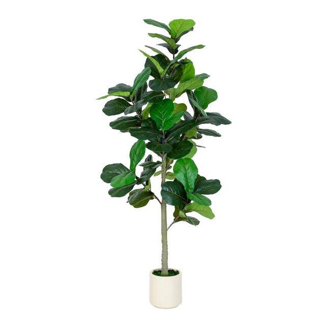 6FT/5FT Artificial Fiddle Leaf Fig Tree in White Planter Faux Indoor Outdoor Floor Plant with Realistic Leaves for Home & Office Decor