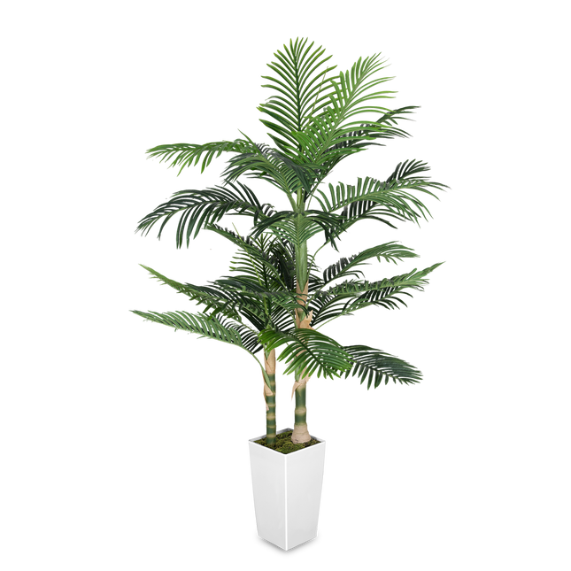 6FT Silk Island Golden Cane Palm Tree