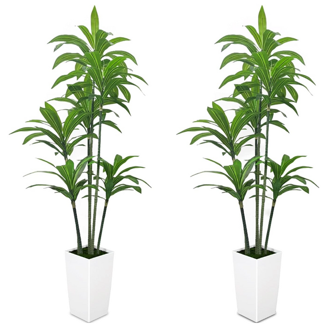 5FT Silk Tropical Dracaena Tree (2-PACK)
