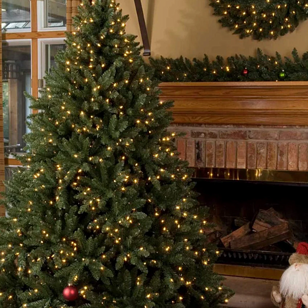 Christmas trees size