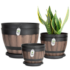 Collection image for: Plant Pots