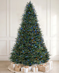 Balsam Fir Tree - 12Ft