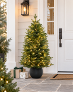 3' Merriglen Potted Fir Pre-Lit Artificial Christmas Tree with Warm White Lights
