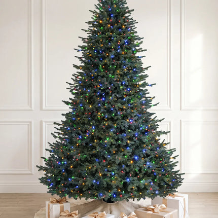 Balsam Fir Tree-12Ft