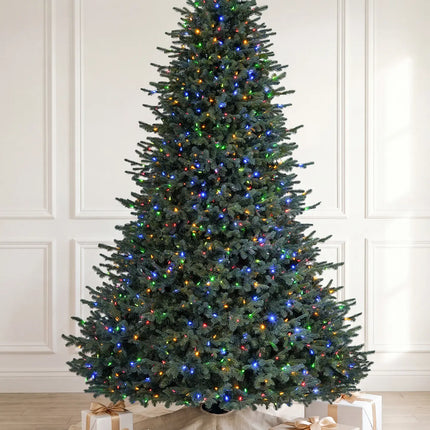 Balsam Fir Tree-12Ft