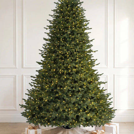 Balsam Fir Tree-12Ft