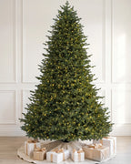 Balsam Fir Tree -7.5Ft