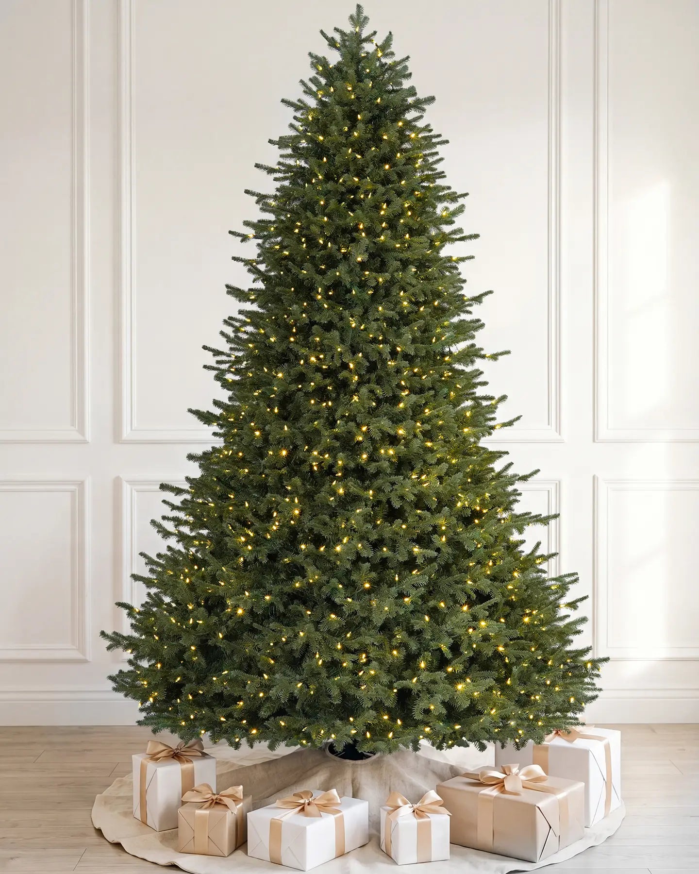 Balsam Fir Tree -7.5Ft