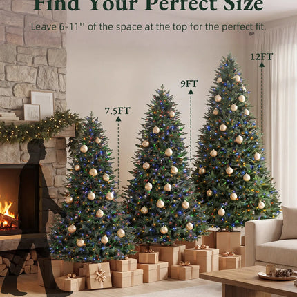 Balsam Fir Tree-12Ft