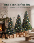 Balsam Fir Tree - 12Ft