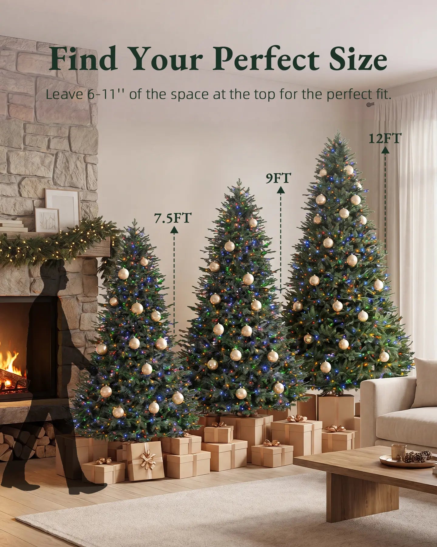 Balsam Fir Tree - 12Ft