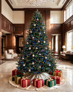 Balsam Fir Tree - 12Ft