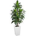 VIVATREES Dracaena Tree 5FT Artificial, 60in Tall Faux Dracaena Tree with 15.7 White Planter, Fake Potted Tree for Indoor & Outdoor Home Office Decor