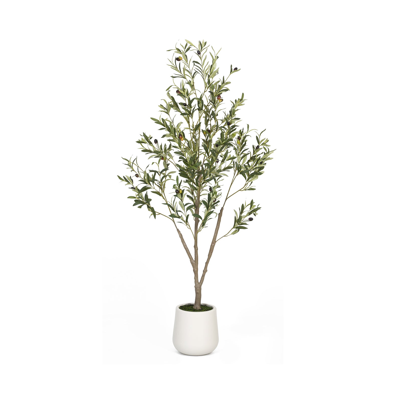 5ft artificial indoor plants 5FT Artificial Olive Tree in White Planter Faux Indoor Plant with Realistic Wood Trunk & Lifelike Fruits for Home & Office Decor