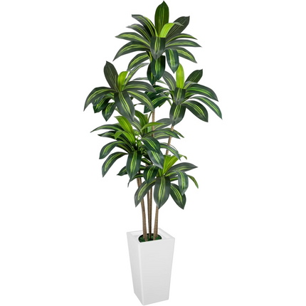 VIVATREES Dracaena Tree 6FT Artificial, 72in Tall Faux Dracaena Tree with 15.7 White Planter, Fake Potted Tree for Indoor & Outdoor Home Office Decor