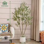6FT with white pot
