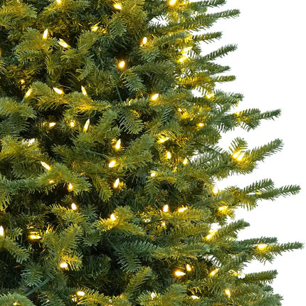 Balsam Fir Tree-12Ft