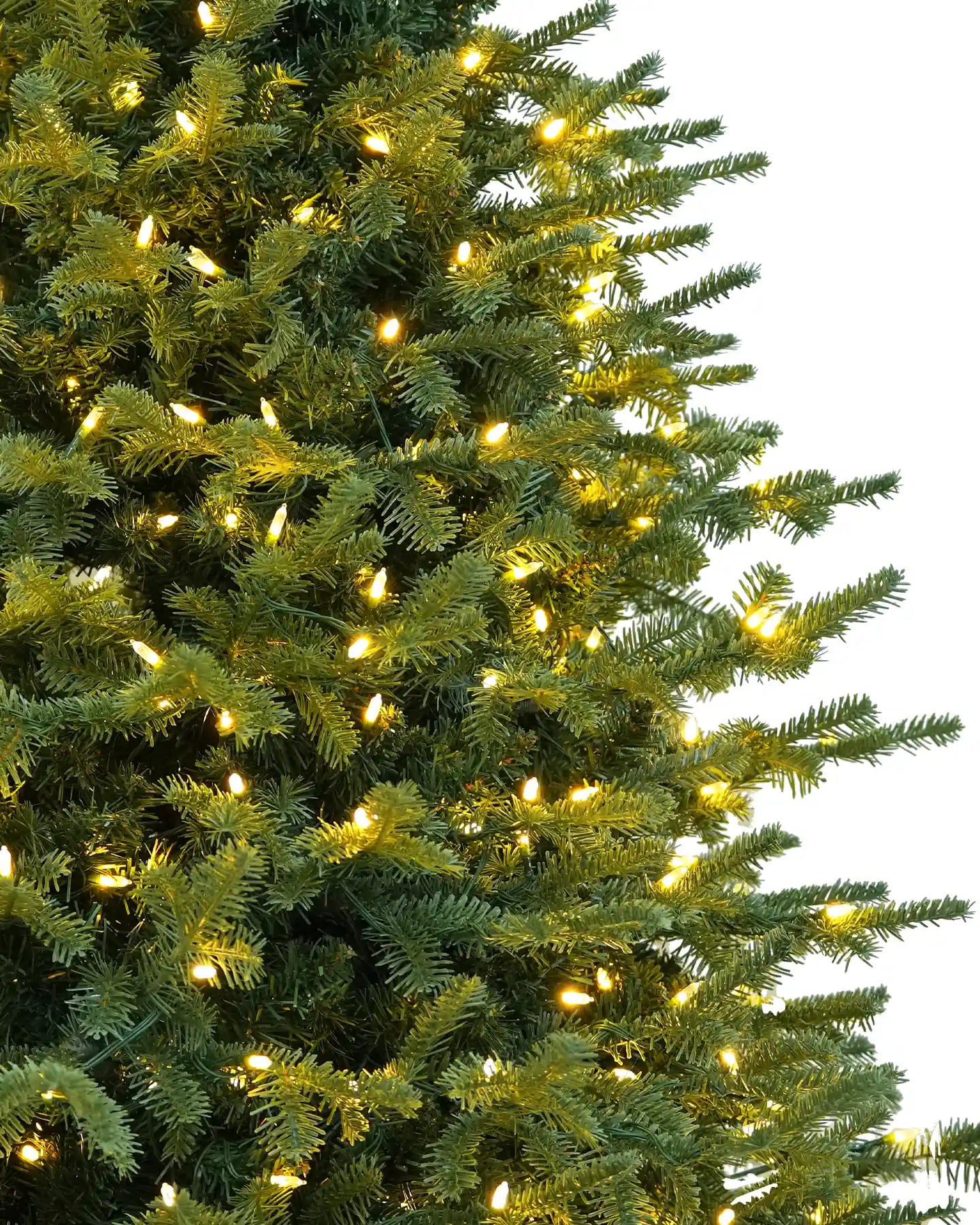Balsam Fir Tree - 12Ft