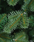 Vivatrees Foliage Sample Kit