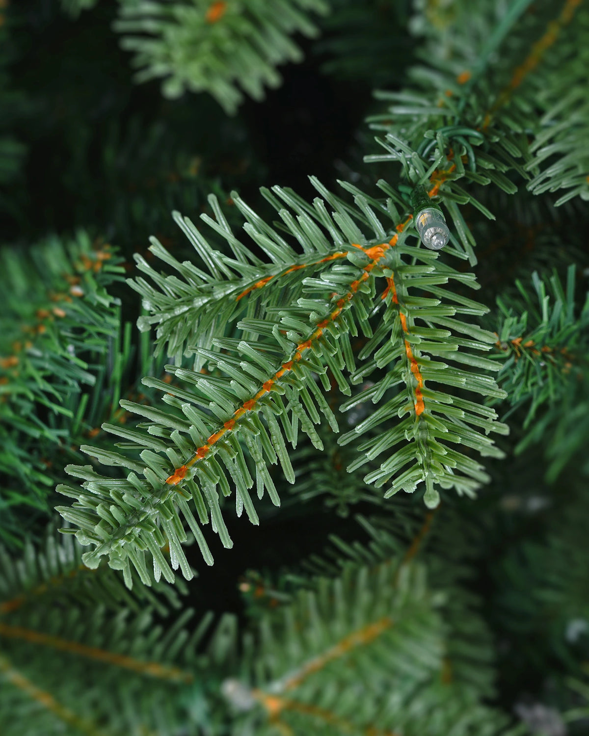 Vivatrees Foliage Sample Kit
