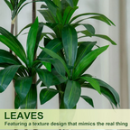 5FT/6FT Artificial Dracaena Tree in White Planter Faux Plant with Realistic Wood Trunk & Lifelike Leaves for Home & Office Decor, Green