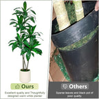 6FT/5FT Tall Faux Dracaena Tree Artificial Plant with Natural Wood Trunk & Vibrant Green Leaves in White Planter