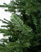 Balsam Fir Tree - 12Ft