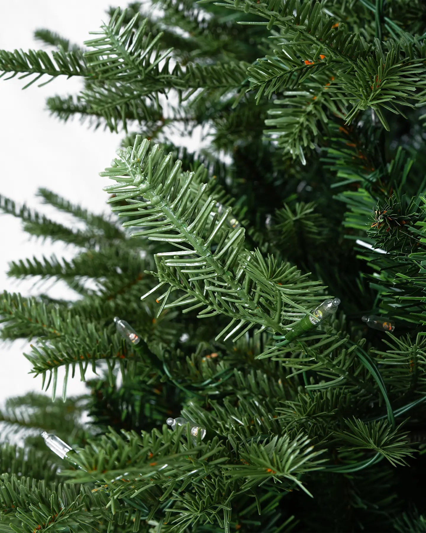 Balsam Fir Tree - 12Ft