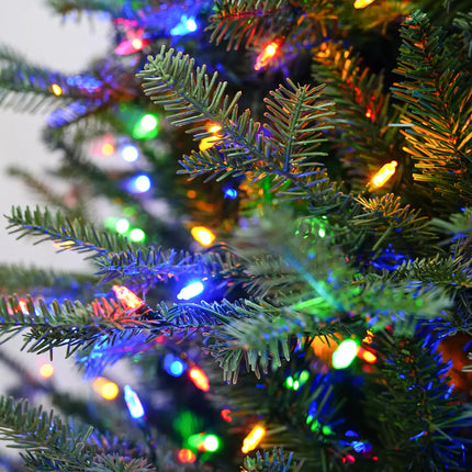 Balsam Fir Tree-12Ft