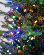 Balsam Fir Tree - 12Ft