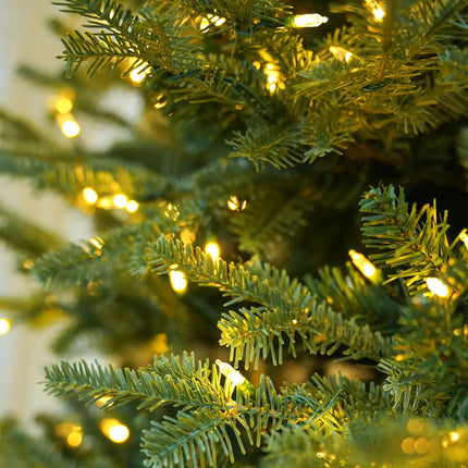 Balsam Fir Tree-12Ft