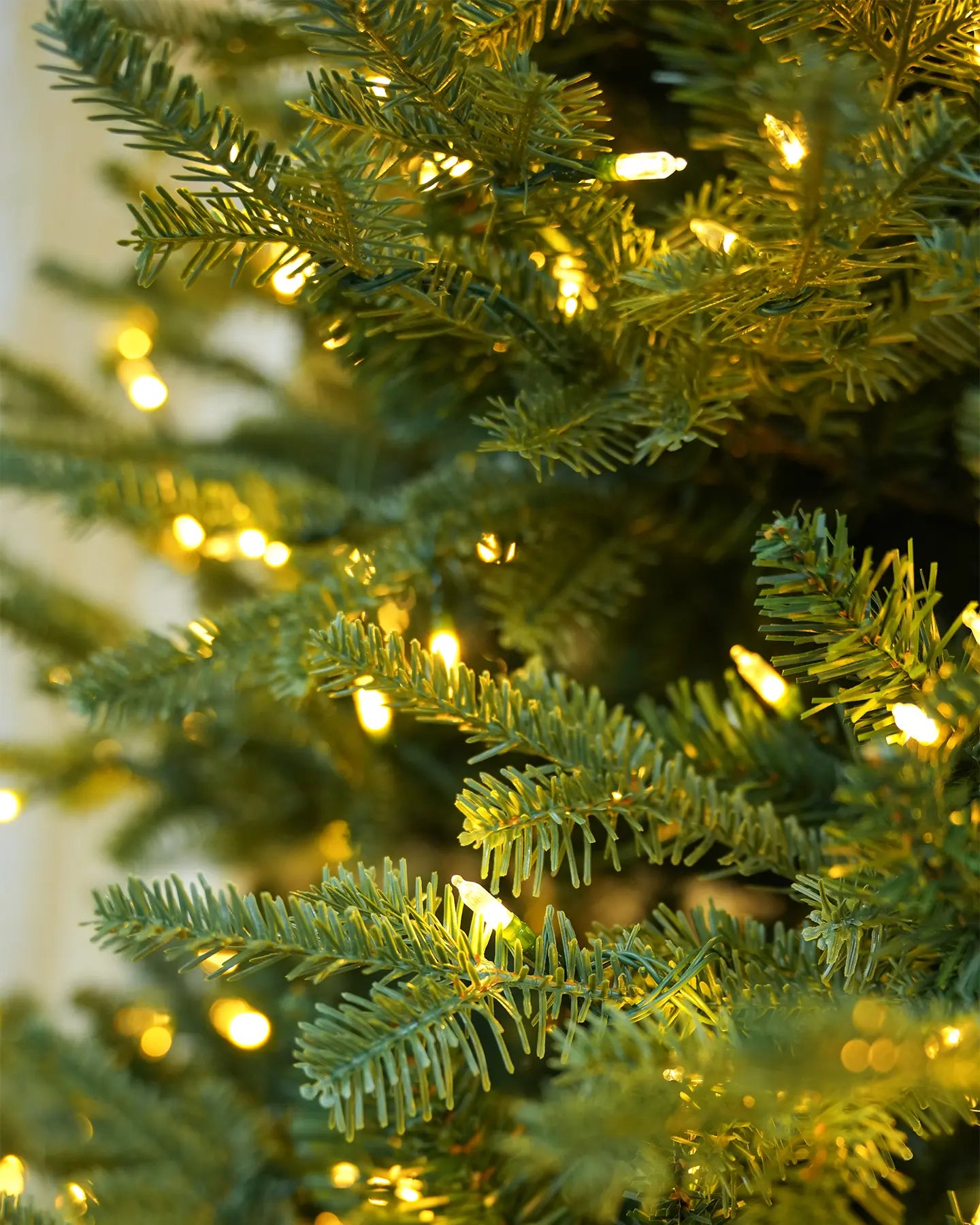 Balsam Fir Tree - 12Ft
