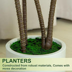 6FT/5FT Tall Faux Dracaena Tree Artificial Plant with Natural Wood Trunk & Vibrant Green Leaves in White Planter