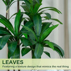 6FT/5FT Tall Faux Dracaena Tree Artificial Plant with Natural Wood Trunk & Vibrant Green Leaves in White Planter