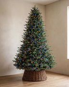 Balsam Fir Tree - 12Ft