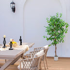 5FT Artificial Ficus Tree with White Planter, Realistic Faux Silk Indoor Outdoor Plant for Home Office Living Room, Porch, Garden Decor