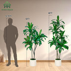 5FT/6FT Artificial Dracaena Tree in White Planter Faux Plant with Realistic Wood Trunk & Lifelike Leaves for Home & Office Decor, Green