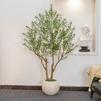 Olive Tree Artificial Indoor, 8FT Tall Faux Olive Tree with 18in Round White Planter, Artificial Plants with Natural Wood Trunk and Lifelike Fruits for Home Office Decor
