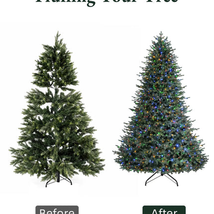 Balsam Fir Tree-12Ft