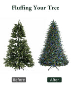 Balsam Fir Tree - 12Ft