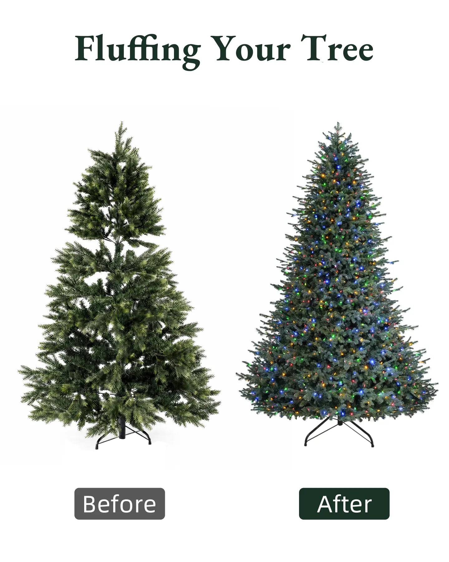 Balsam Fir Tree - 12Ft
