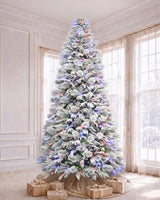 7.5' Winterpine Pre-Lit Frosted Pine Artificial Christmas Tree with 550 Warm White & Color LED Lights