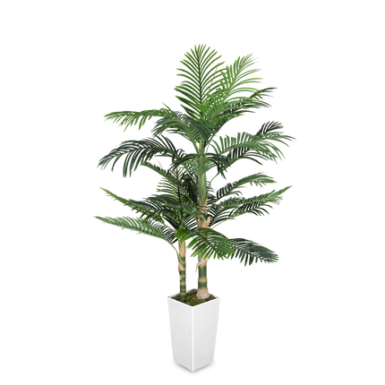 5FT Silk Island Golden Cane Palm Tree (Black Planter)