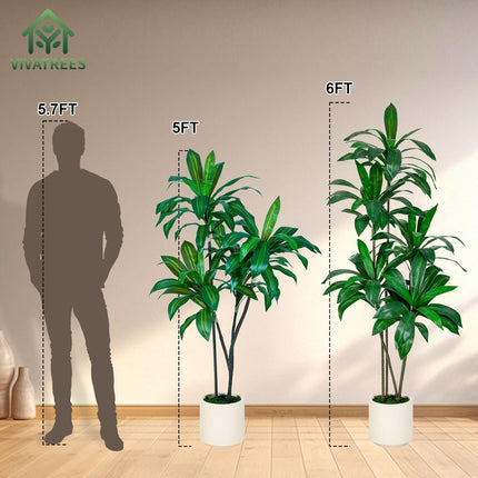6FT Tall Faux Dracaena Tree