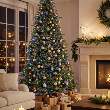 Balsam Fir Tree-12Ft