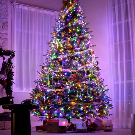 Balsam Fir Tree-12Ft