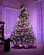Balsam Fir Tree - 12Ft