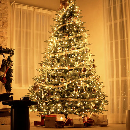 Balsam Fir Tree-12Ft