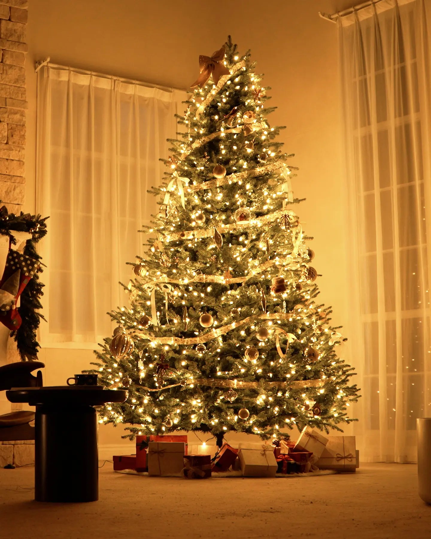 Balsam Fir Tree - 12Ft